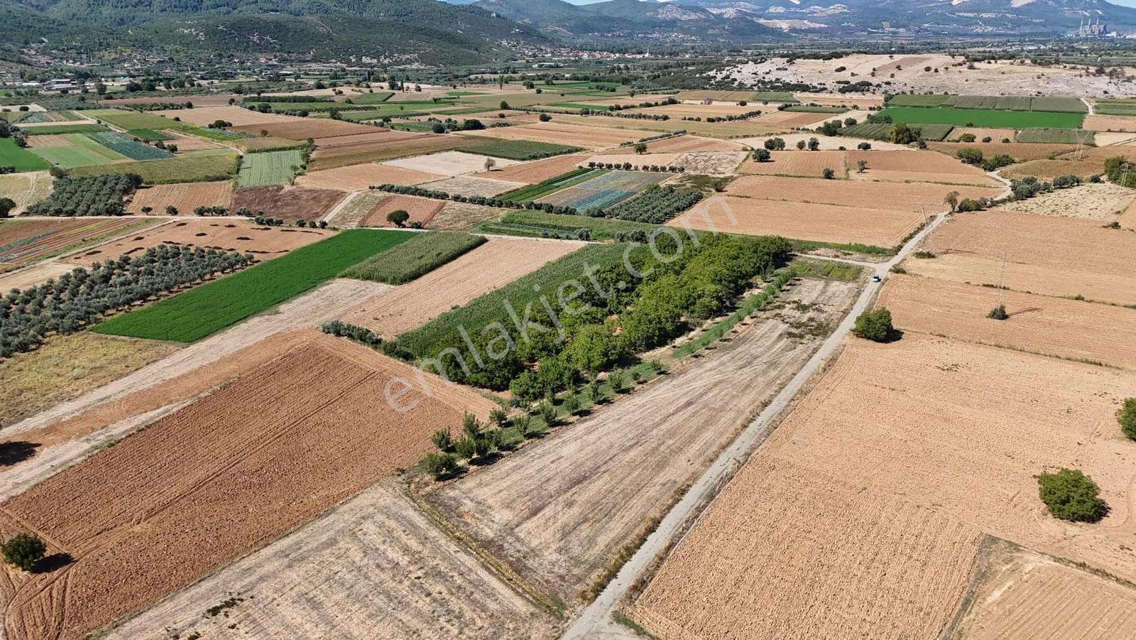 Gökpınarda 7.098 M² Tek Tapu, Sulu Ceviz Bahçesi — fotoğraf 12