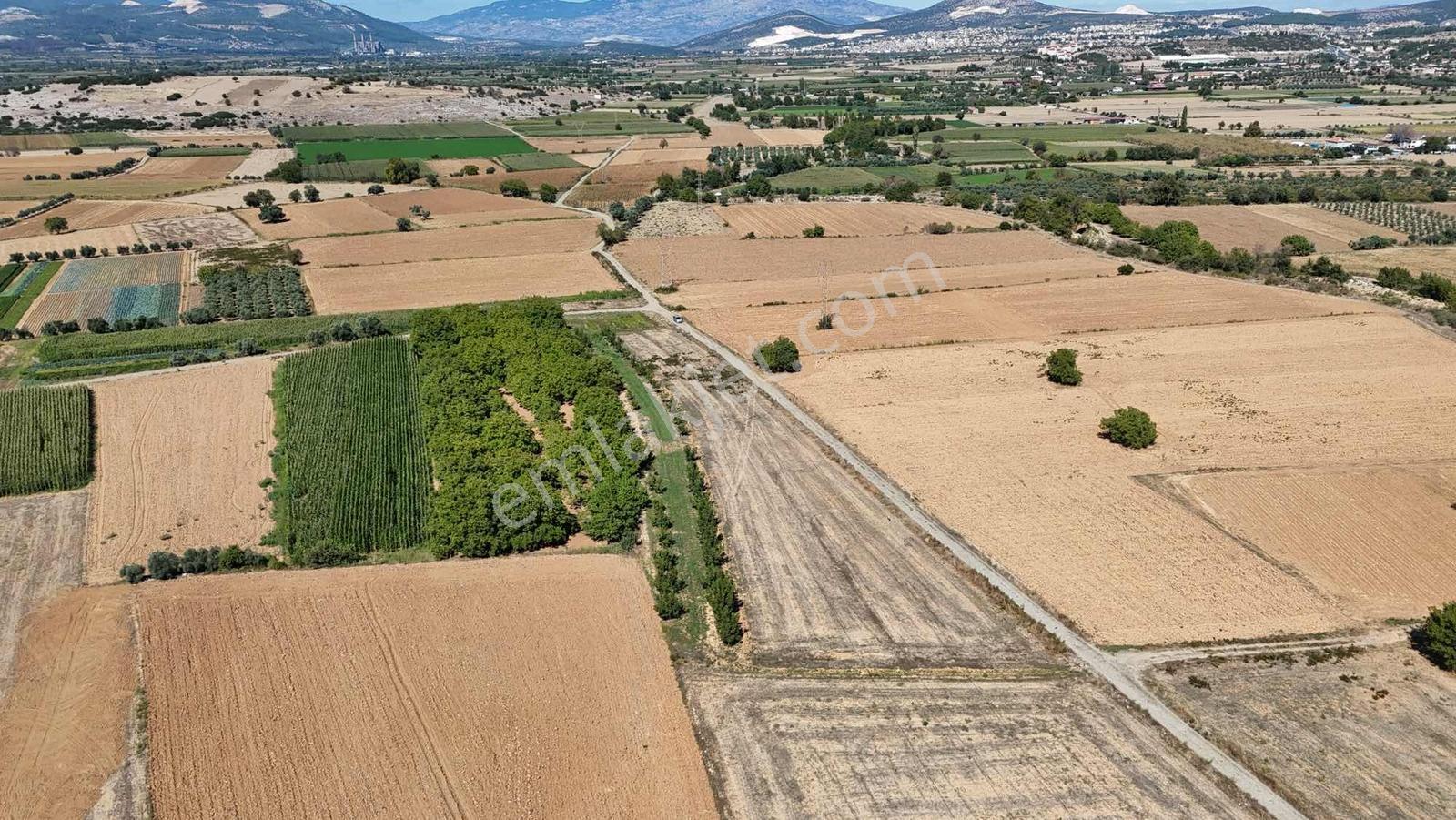 Gökpınarda 7.098 M² Tek Tapu, Sulu Ceviz Bahçesi — fotoğraf 13
