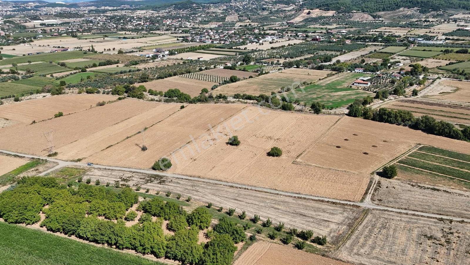 Gökpınarda 7.098 M² Tek Tapu, Sulu Ceviz Bahçesi — fotoğraf 14
