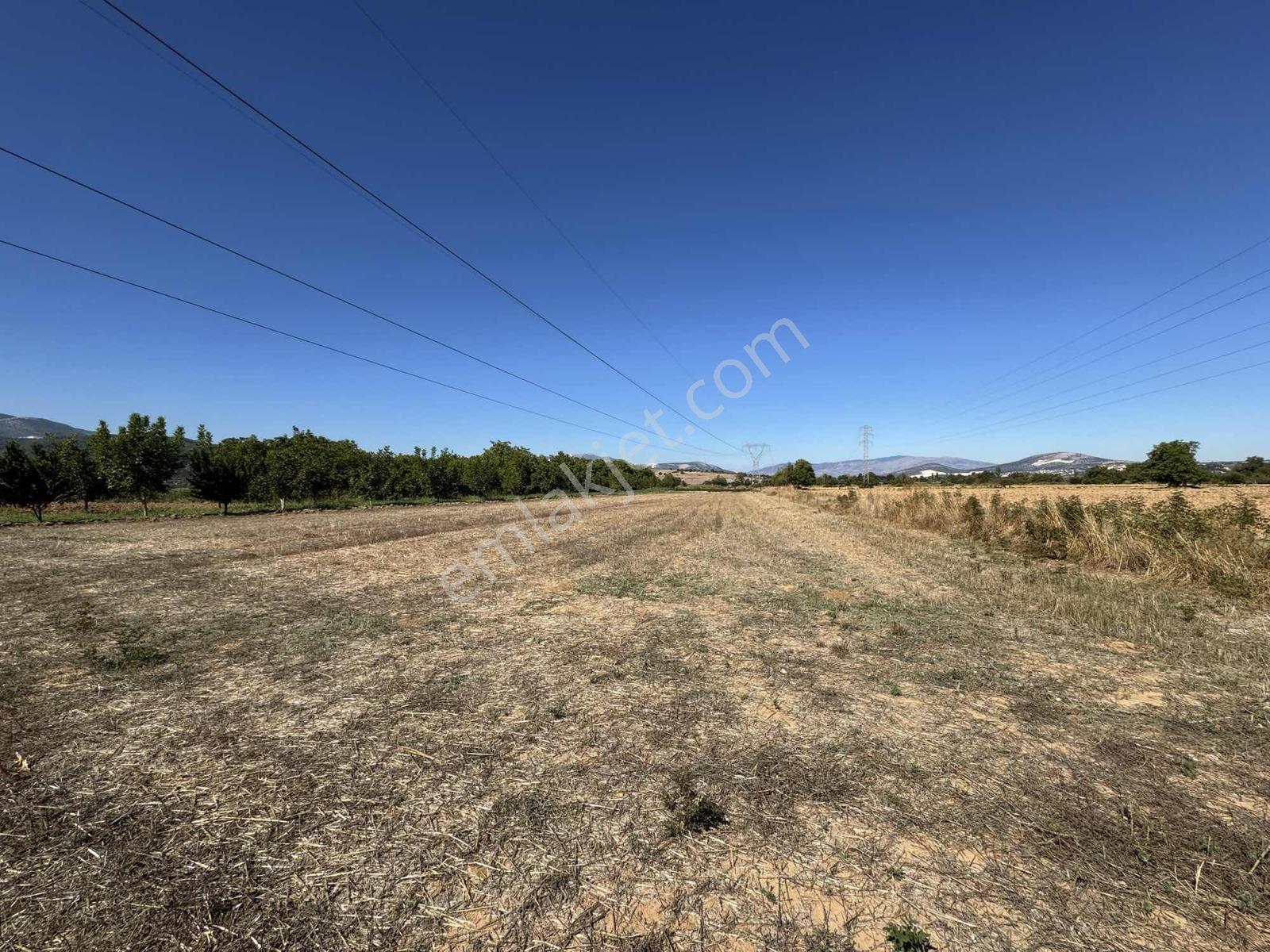 Gökpınarda 7.098 M² Tek Tapu, Sulu Ceviz Bahçesi — fotoğraf 20