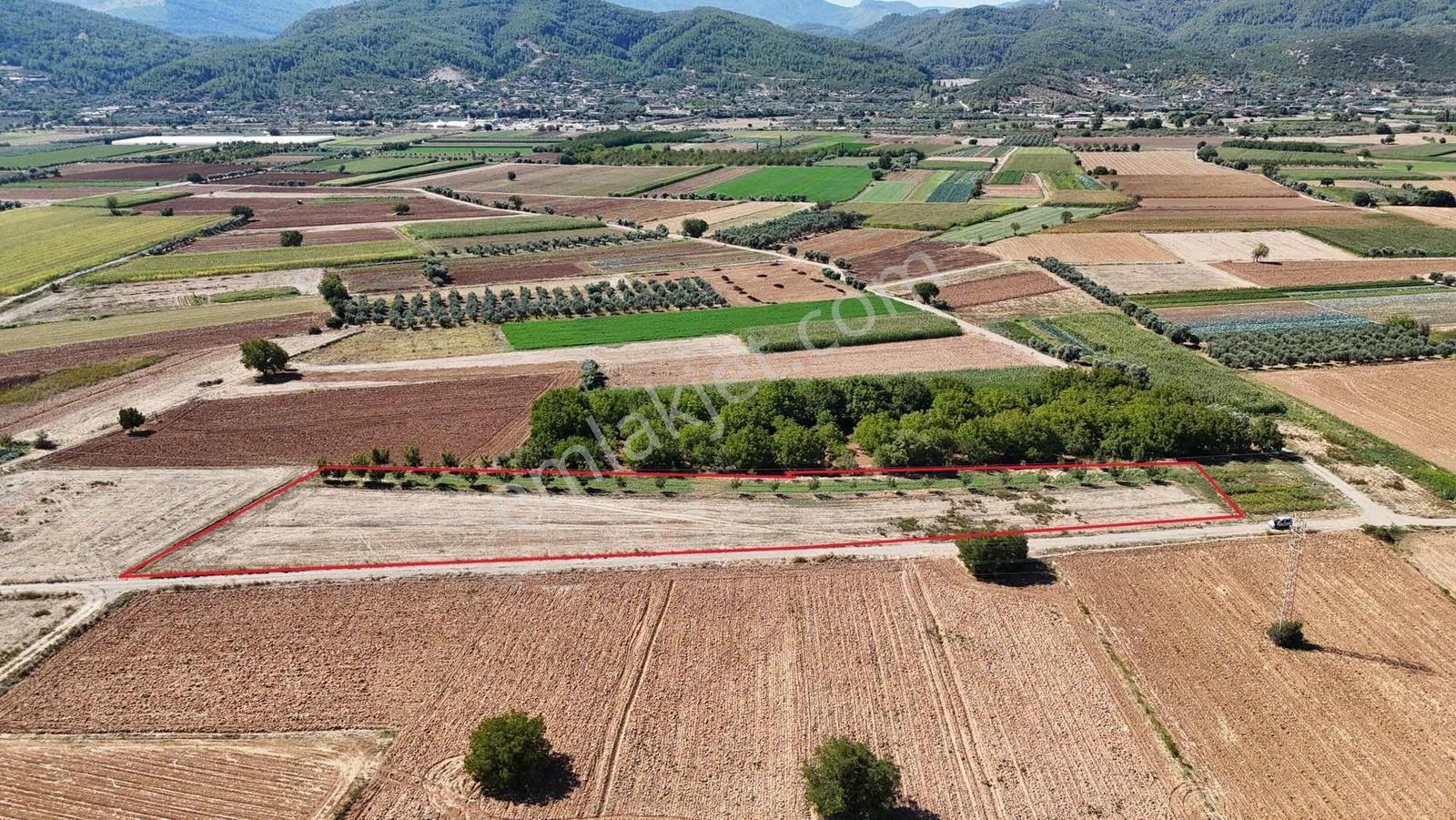 Gökpınarda 7.098 M² Tek Tapu, Sulu Ceviz Bahçesi — fotoğraf 23