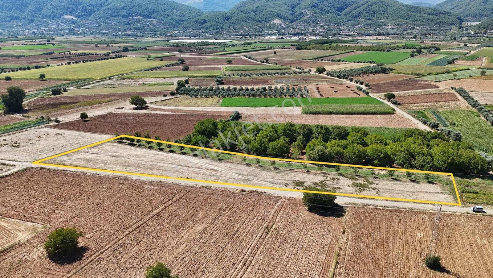 Gökpınarda 7.098 M² Tek Tapu, Sulu Ceviz Bahçesi — fotoğraf 24