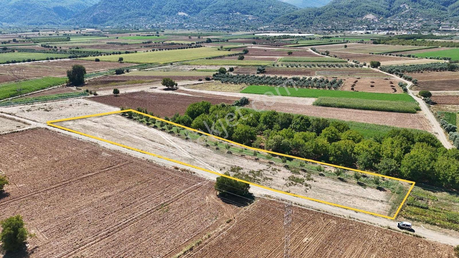 Gökpınarda 7.098 M² Tek Tapu, Sulu Ceviz Bahçesi — fotoğraf 25