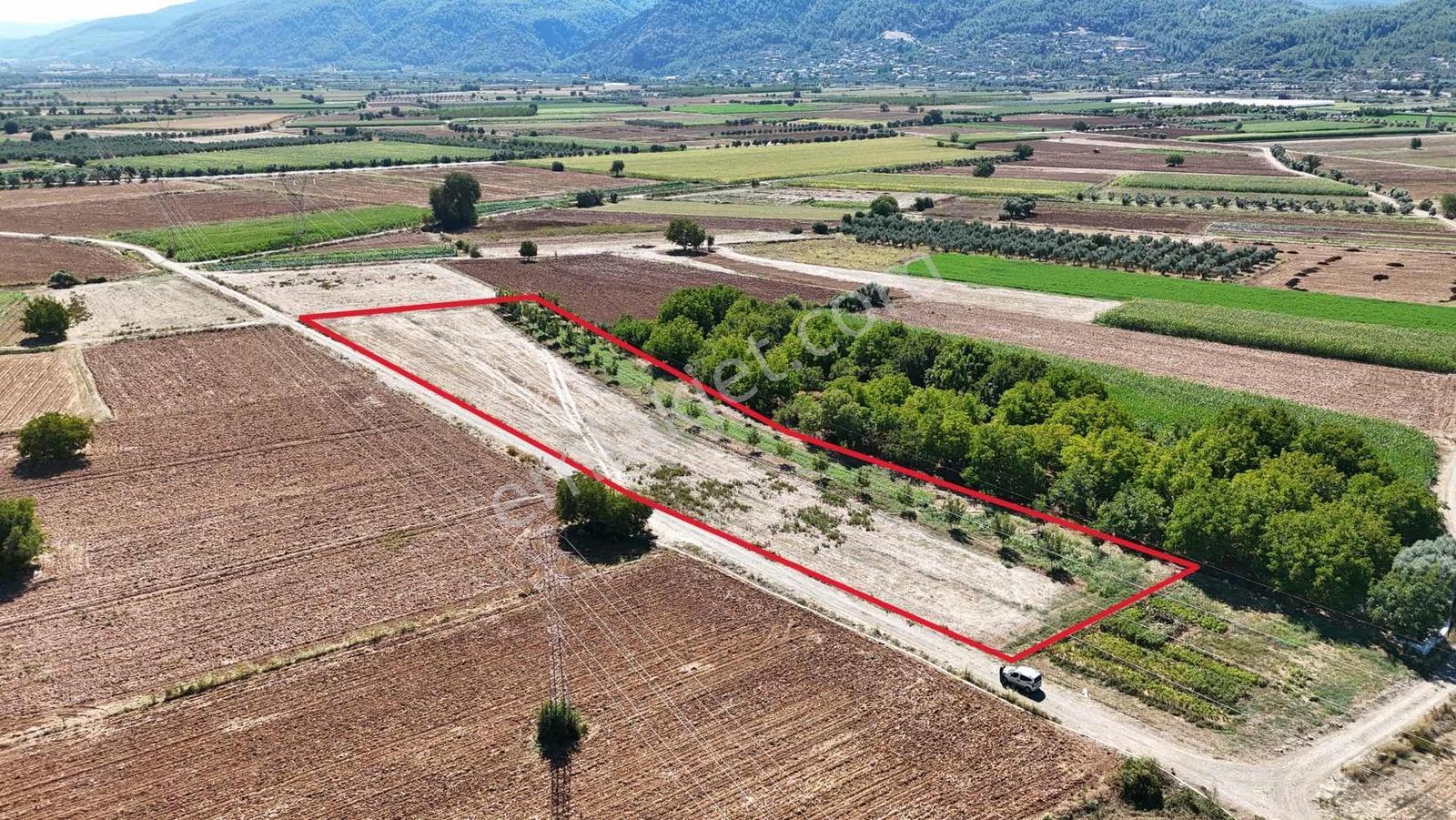 Gökpınarda 7.098 M² Tek Tapu, Sulu Ceviz Bahçesi — fotoğraf 26
