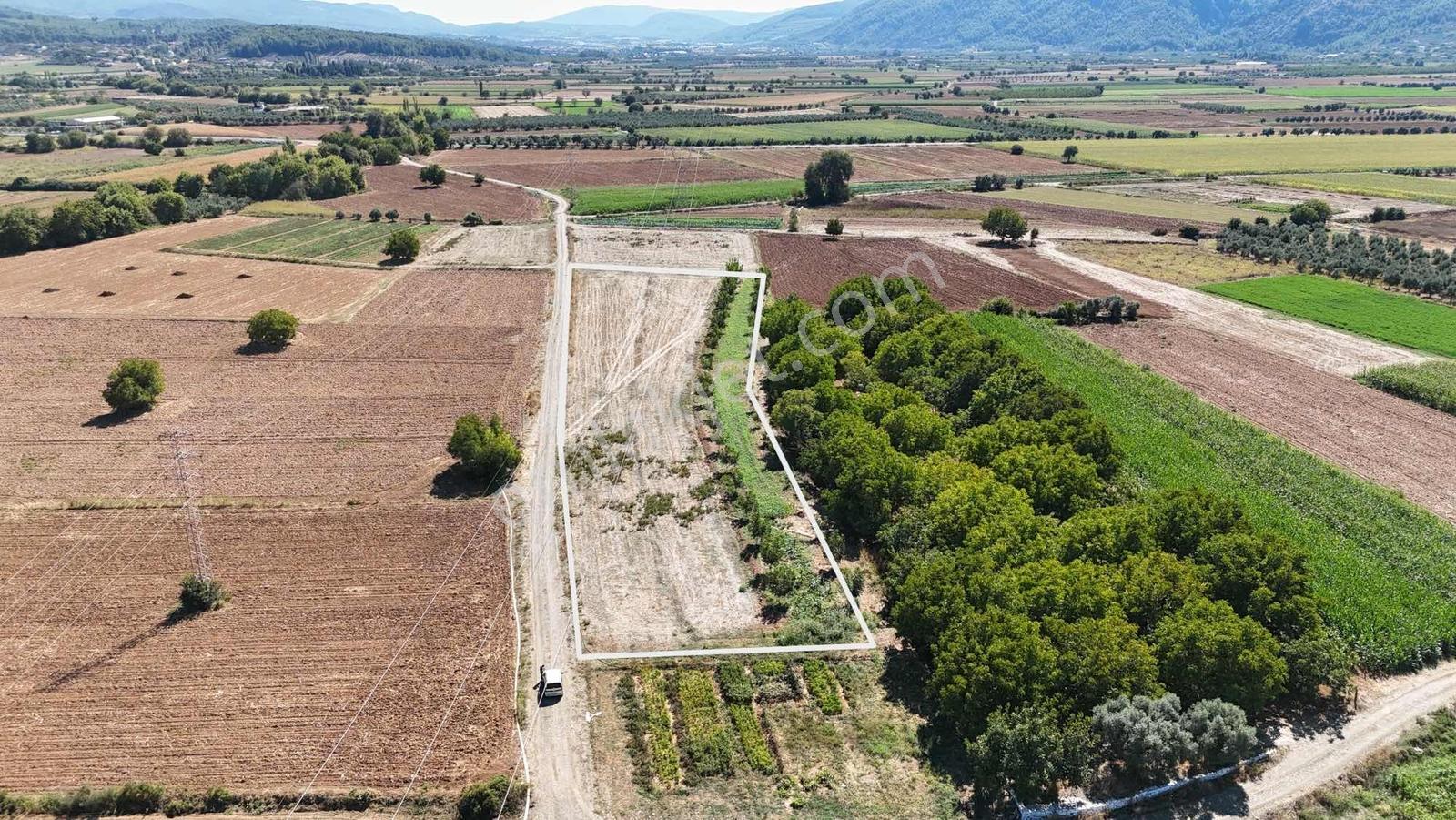 Gökpınarda 7.098 M² Tek Tapu, Sulu Ceviz Bahçesi — fotoğraf 27