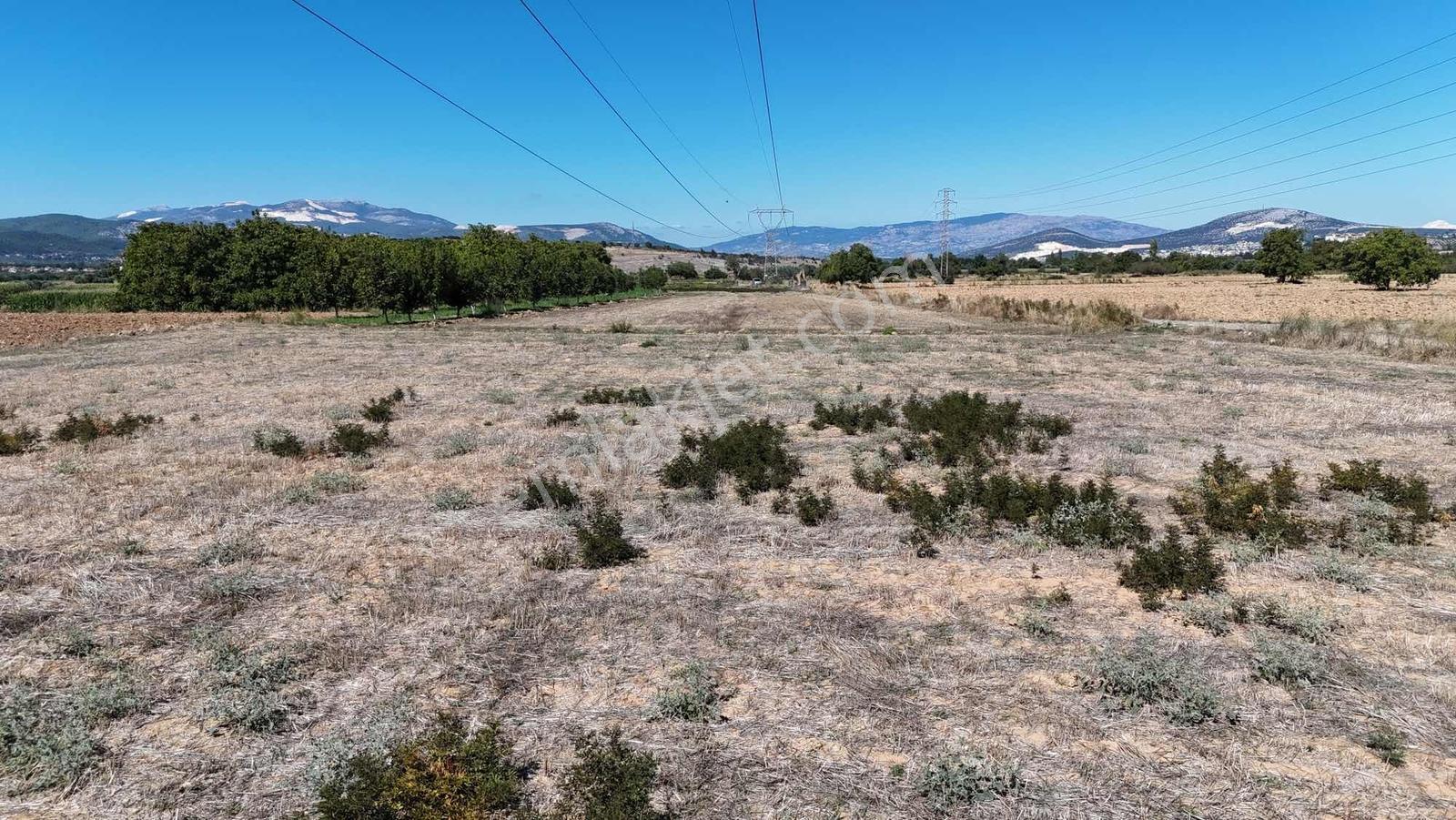 Gökpınarda 7.098 M² Tek Tapu, Sulu Ceviz Bahçesi — fotoğraf 29