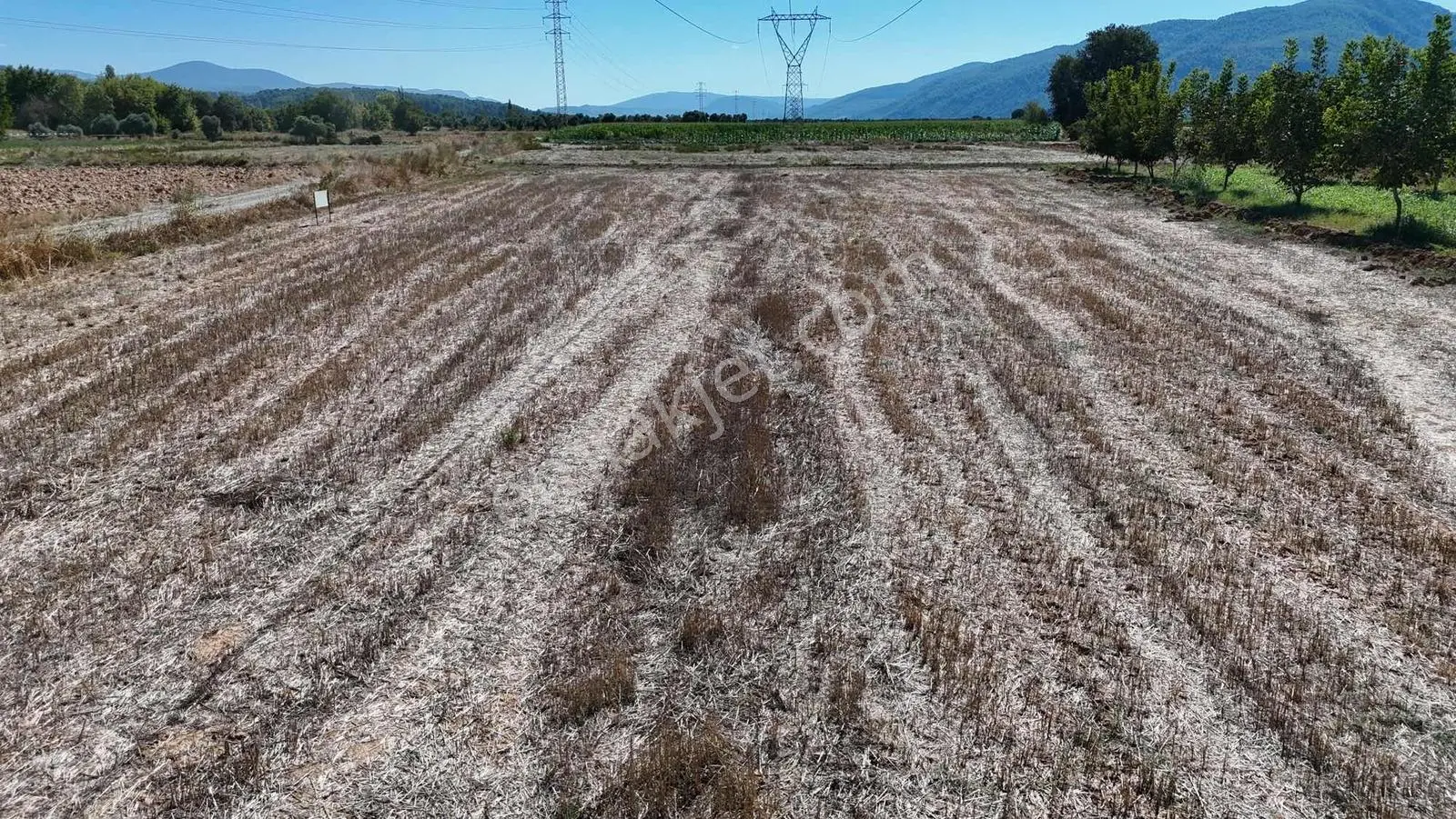 Gökpınarda 7.098 M² Tek Tapu, Sulu Ceviz Bahçesi — fotoğraf 30