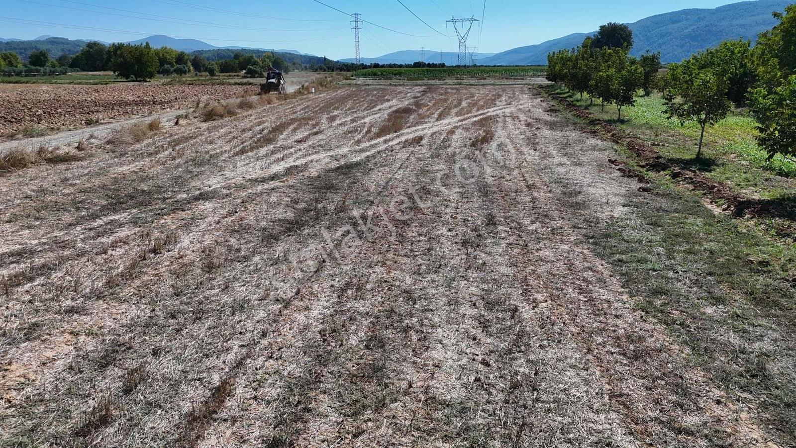 Gökpınarda 7.098 M² Tek Tapu, Sulu Ceviz Bahçesi — fotoğraf 31