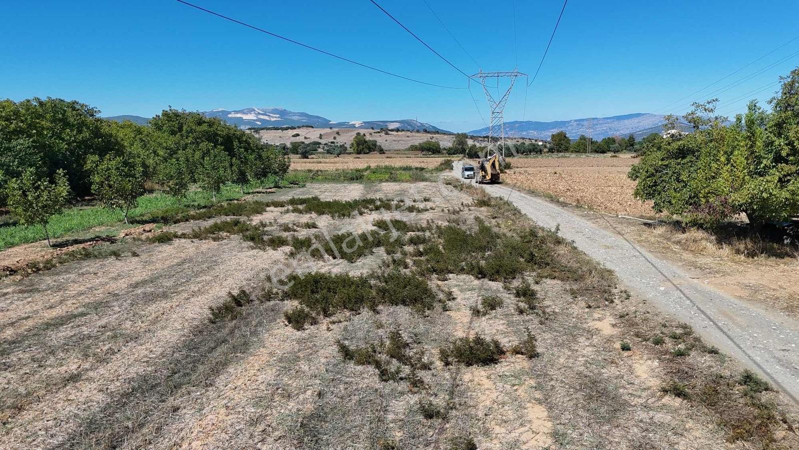 Gökpınarda 7.098 M² Tek Tapu, Sulu Ceviz Bahçesi — fotoğraf 34