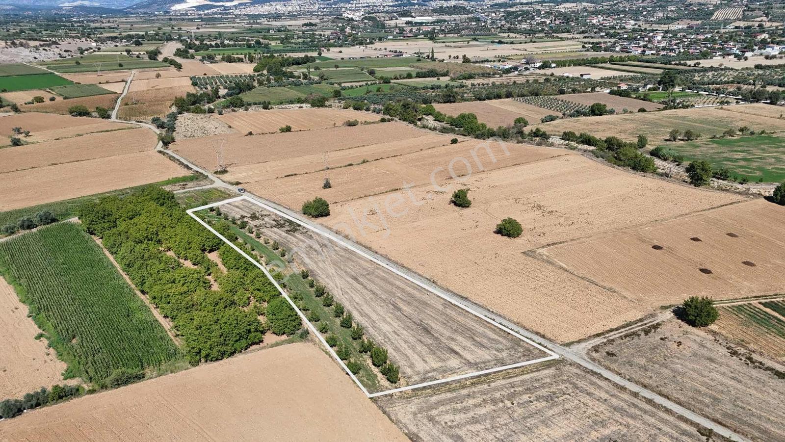 Gökpınarda 7.098 M² Tek Tapu, Sulu Ceviz Bahçesi — fotoğraf 35