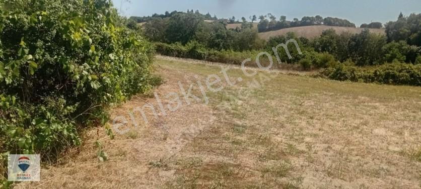 Arnavutköy"de Konut İmarlı Müstakil Arsa — fotoğraf 13