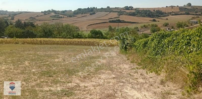 Arnavutköy'de Müstakil Tapulu Konut İmarlı Arsa — fotoğraf 6