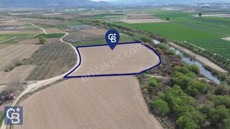 Buruncuk'ta Gediz Kenarında Çok Verimli 17.416 M2 Satılık Tarla — fotoğraf 7