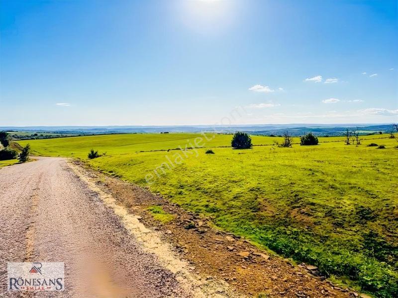 Rönesans Emlaktan — fotoğraf 4