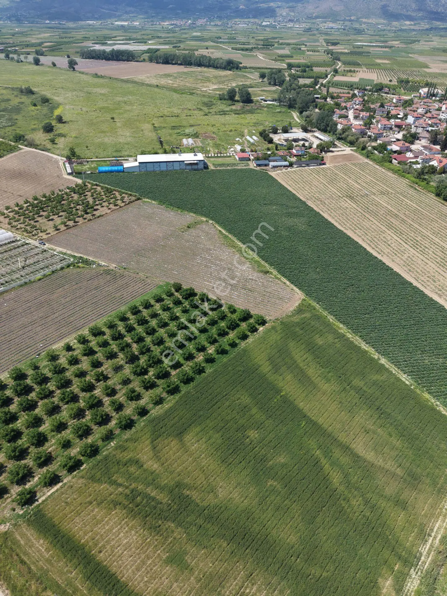 Pamukova Fevziye Köyünde İmar Sınırında Yatırımlık Satılık Tarla — fotoğraf 5
