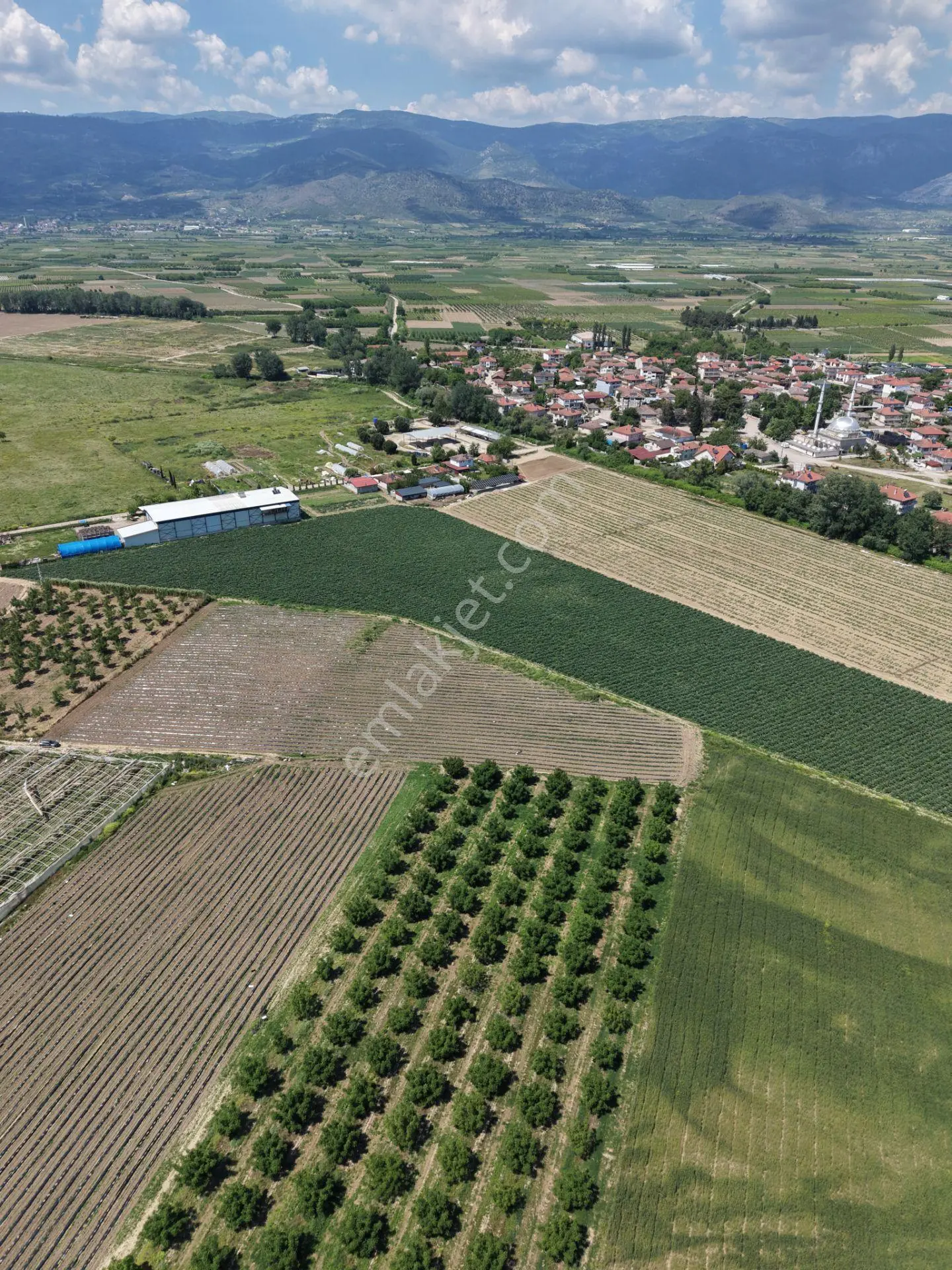 Pamukova Fevziye Köyünde İmar Sınırında Yatırımlık Satılık Tarla — fotoğraf 6