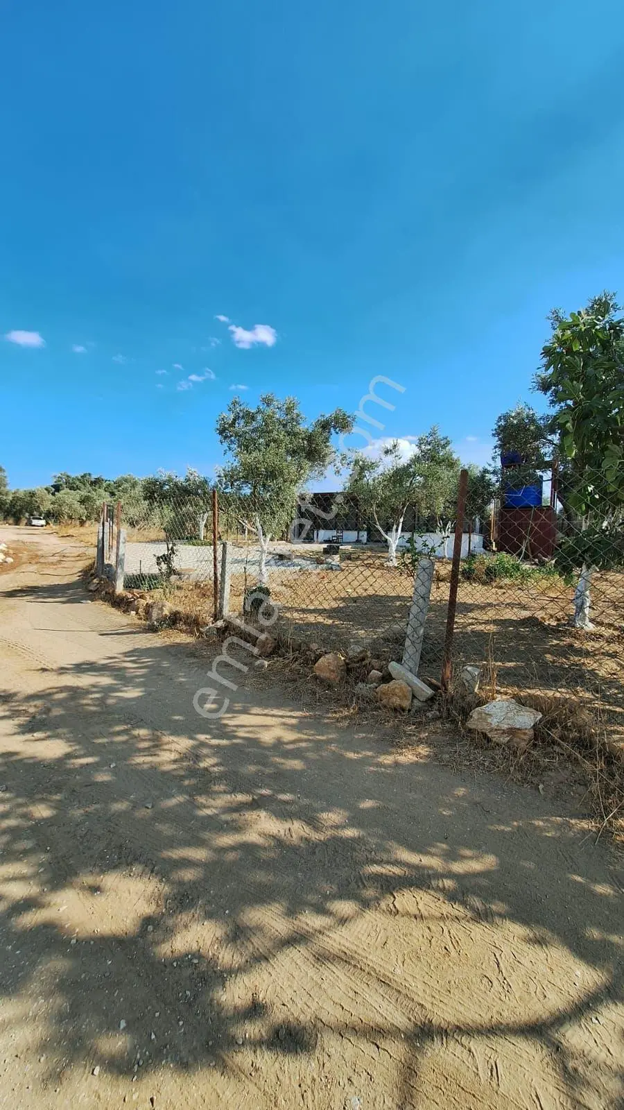 Torbalı Dirmil'de Satılık 705 M² Verimli Zeytinlik