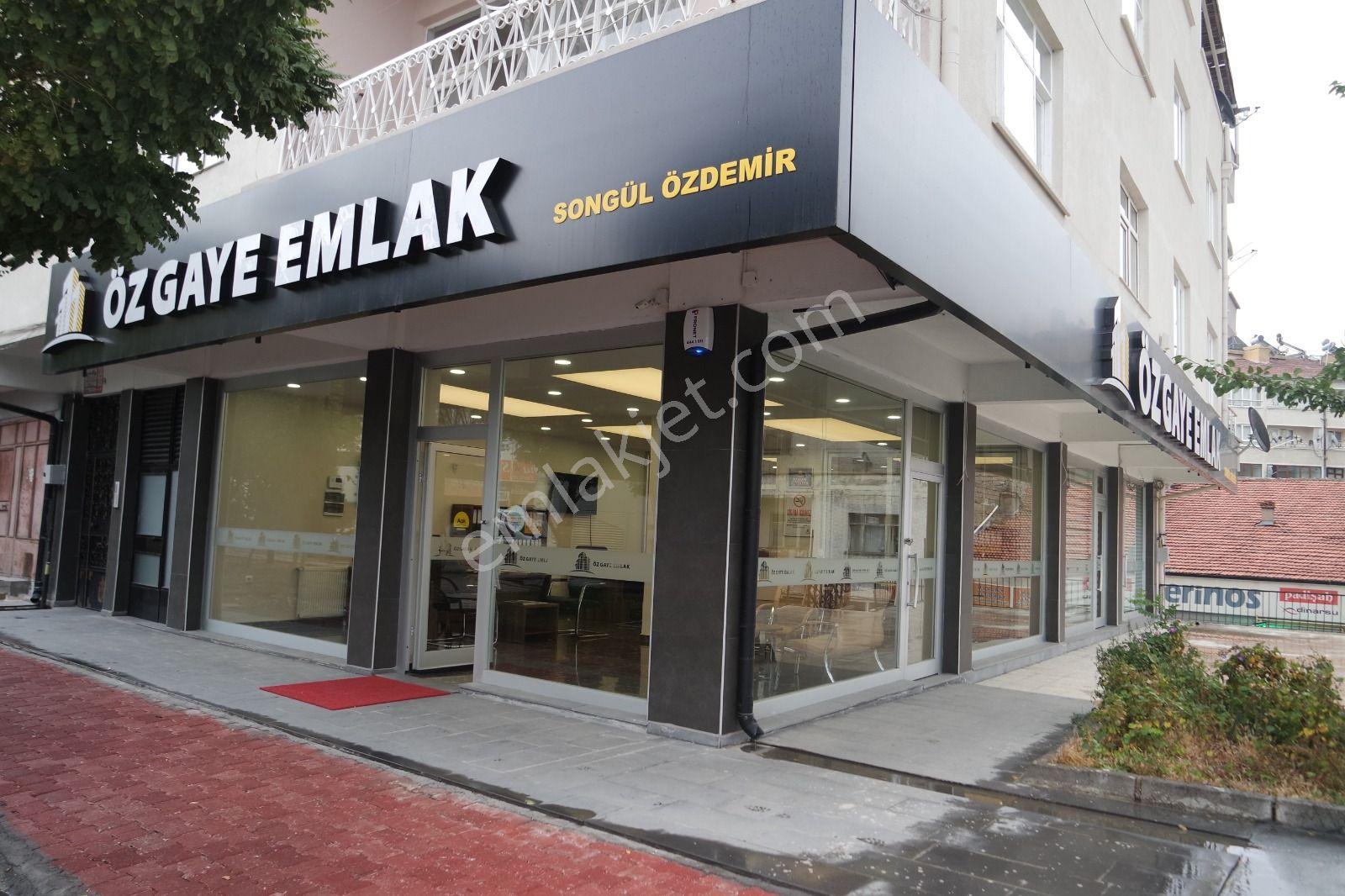 Öz Gaye Emlaktan Develi Gaziköy Mahallesinde Satılık Elmalık — fotoğraf 12