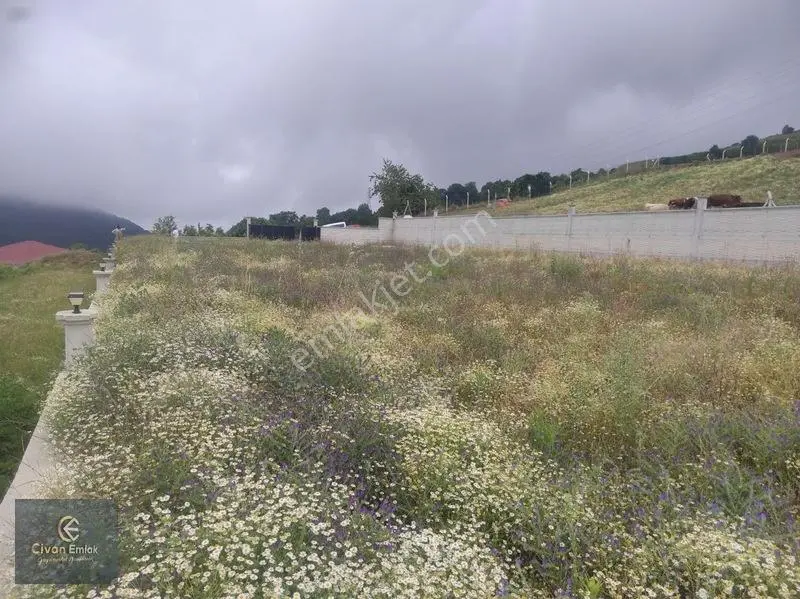Civan'dan Devgerişte Deniz Manzaralı 7 Kat İmarlı 1483 M² Arsa — fotoğraf 10