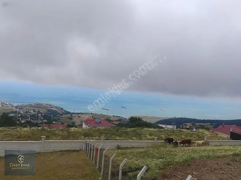 Civan'dan Devgerişte Deniz Manzaralı 7 Kat İmarlı 1483 M² Arsa — fotoğraf 22