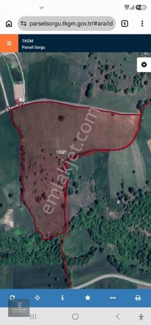 Kavakta Anayola 2.61 Km Mesafede 51197 M2 Genıs Tarla — fotoğraf 3
