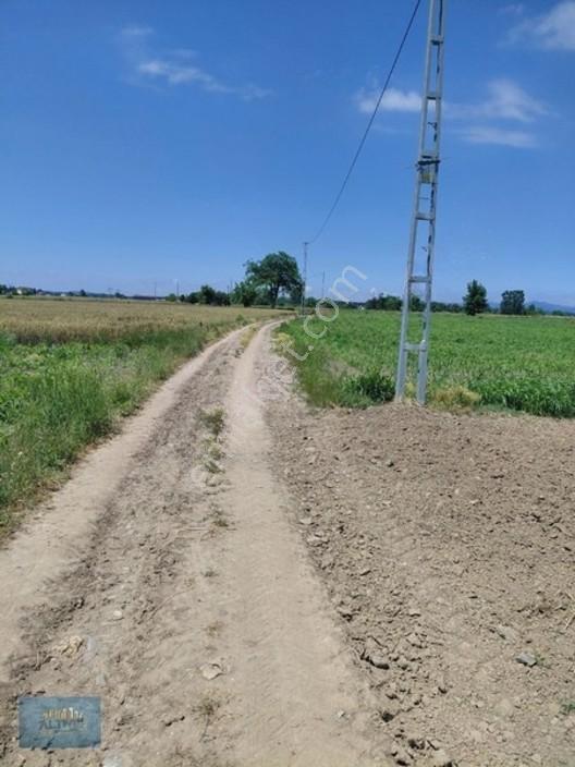 Türkormanköy Müstakil Tapu Yol Su Elektrik Önünde 4500 Mt2 — fotoğraf 7