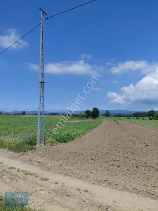 Türkormanköy Müstakil Tapu Yol Su Elektrik Önünde 4500 Mt2 — fotoğraf 8