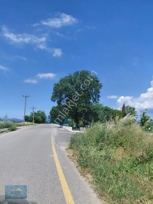 Türkormanköy Müstakil Tapu Yol Su Elektrik Önünde 4500 Mt2 — fotoğraf 9