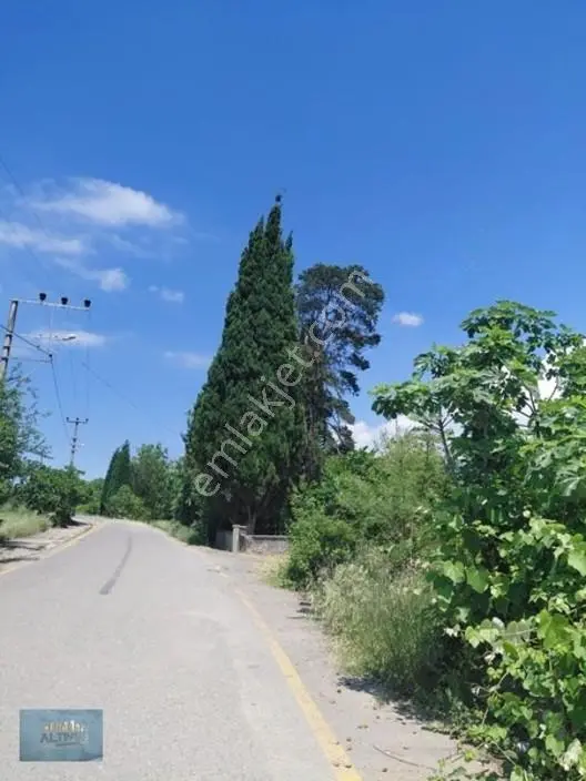 Türkormanköy Müstakil Tapu Yol Su Elektrik Önünde 4500 Mt2 — fotoğraf 10