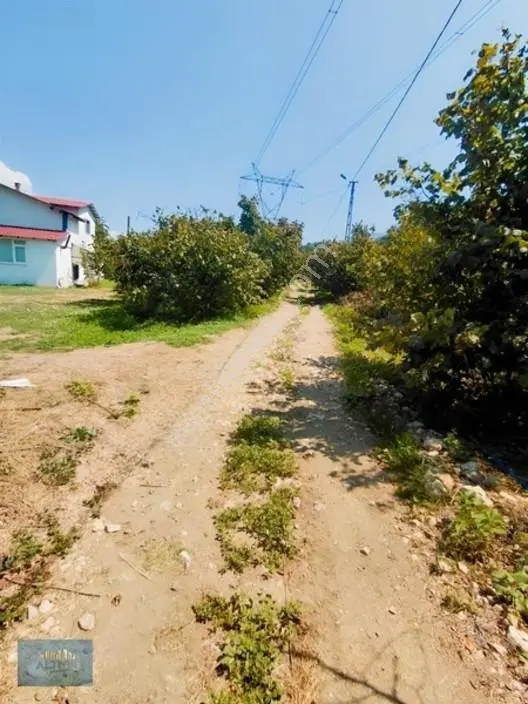 1.150 Mt2 Müstakil Tapu Yol Su Elektrik Önünde — fotoğraf 6