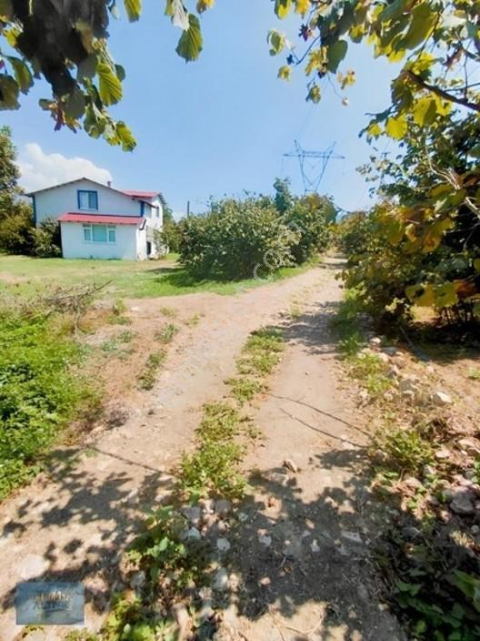 1.150 Mt2 Müstakil Tapu Yol Su Elektrik Önünde — fotoğraf 7