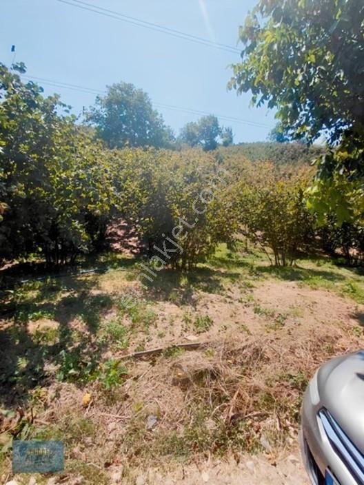 1.150 Mt2 Müstakil Tapu Yol Su Elektrik Önünde — fotoğraf 9