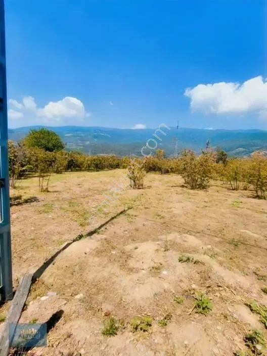 1.150 Mt2 Müstakil Tapu Yol Su Elektrik Önünde — fotoğraf 11