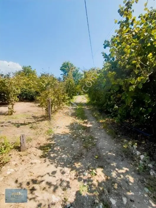 1.150 Mt2 Müstakil Tapu Yol Su Elektrik Önünde — fotoğraf 12