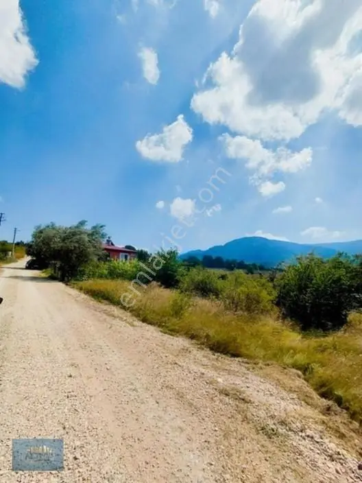 1.150 Mt2 Müstakil Tapu Yol Su Elektrik Önünde — fotoğraf 15