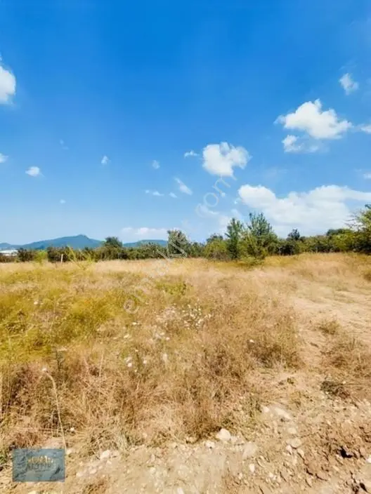 1.150 Mt2 Müstakil Tapu Yol Su Elektrik Önünde — fotoğraf 16