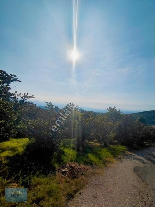 Mesire Alanına Yakın Efsane Manzaralı Müstakil Tapulu — fotoğraf 2