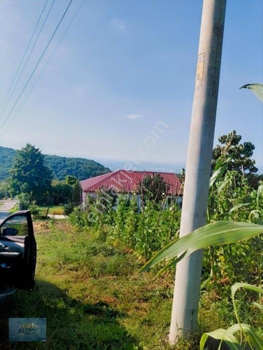 Mesire Alanına Yakın Efsane Manzaralı Müstakil Tapulu — fotoğraf 6