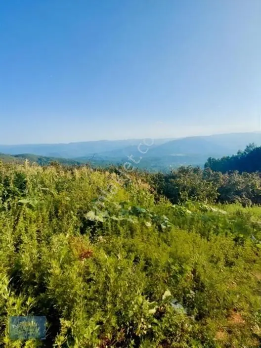 Kuzuluk Manzaralı Düz Müstakil Tapulu İmarlı Arsa