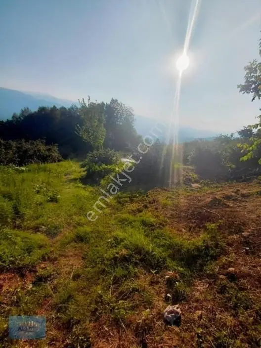 Kuzuluk Manzaralı Düz Müstakil Tapulu İmarlı Arsa — fotoğraf 2