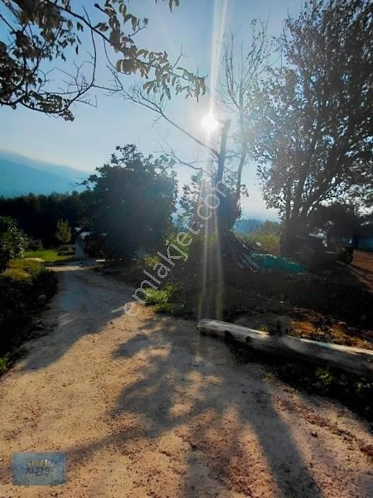 Kuzuluk Manzaralı Düz Müstakil Tapulu İmarlı Arsa — fotoğraf 3