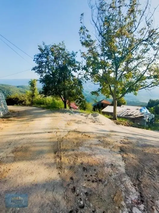 Kuzuluk Manzaralı Düz Müstakil Tapulu İmarlı Arsa — fotoğraf 4