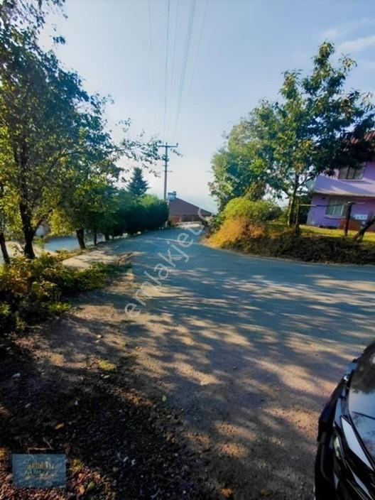 Kuzuluk Manzaralı Düz Müstakil Tapulu İmarlı Arsa — fotoğraf 8
