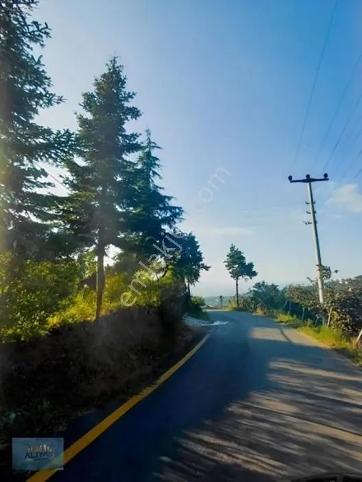 Kuzuluk Manzaralı Düz Müstakil Tapulu İmarlı Arsa — fotoğraf 10