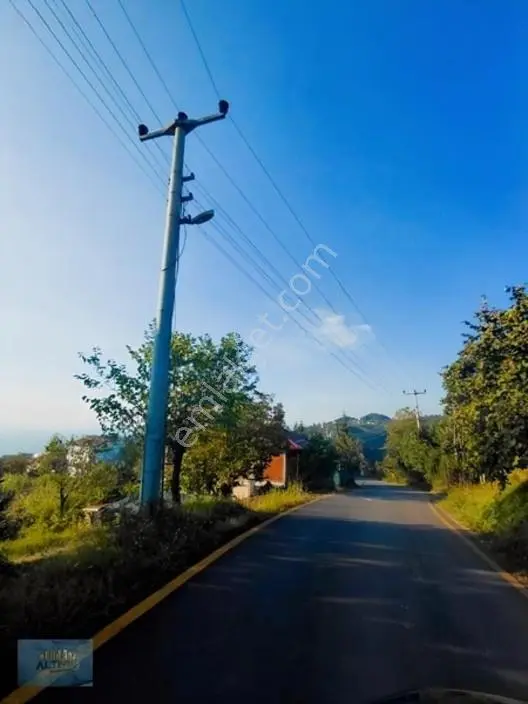 Kuzuluk Manzaralı Düz Müstakil Tapulu İmarlı Arsa — fotoğraf 14