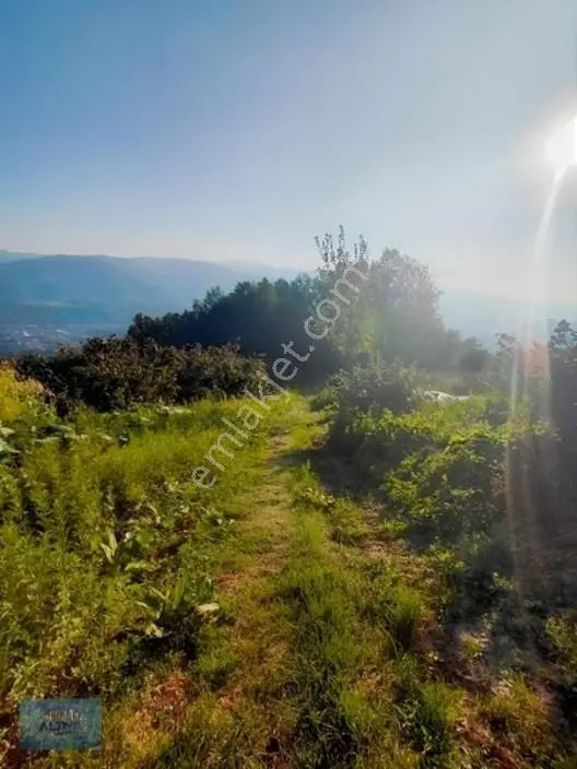 Kuzuluk Manzaralı Düz Müstakil Tapulu İmarlı Arsa — fotoğraf 15