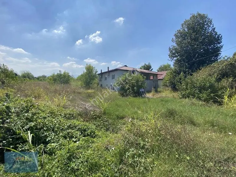 Batakköy'de Geniş Metrajlı Anayola Yakın 4.194 M² İmarlı Arsa — fotoğraf 3