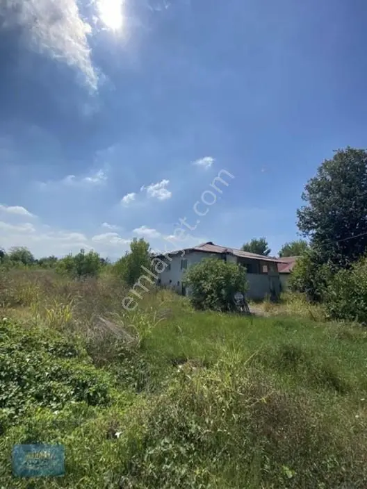 Batakköy'de Geniş Metrajlı Anayola Yakın 4.194 M² İmarlı Arsa — fotoğraf 4