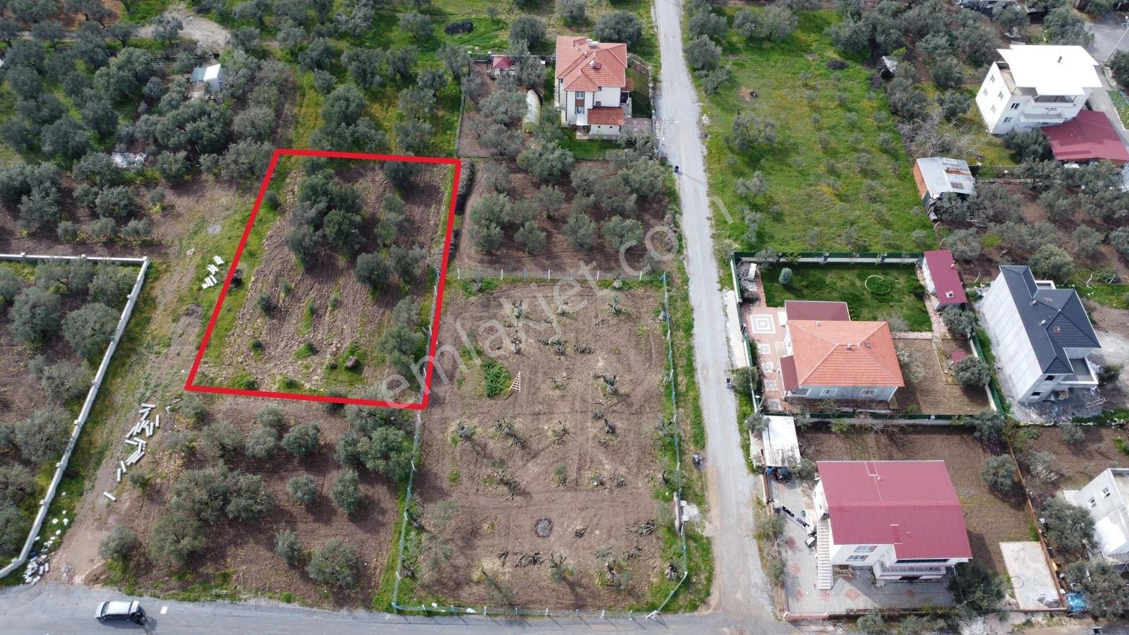 Ulucami Mah. 1270 M2 Villa İmarlı Arsa — fotoğraf 7