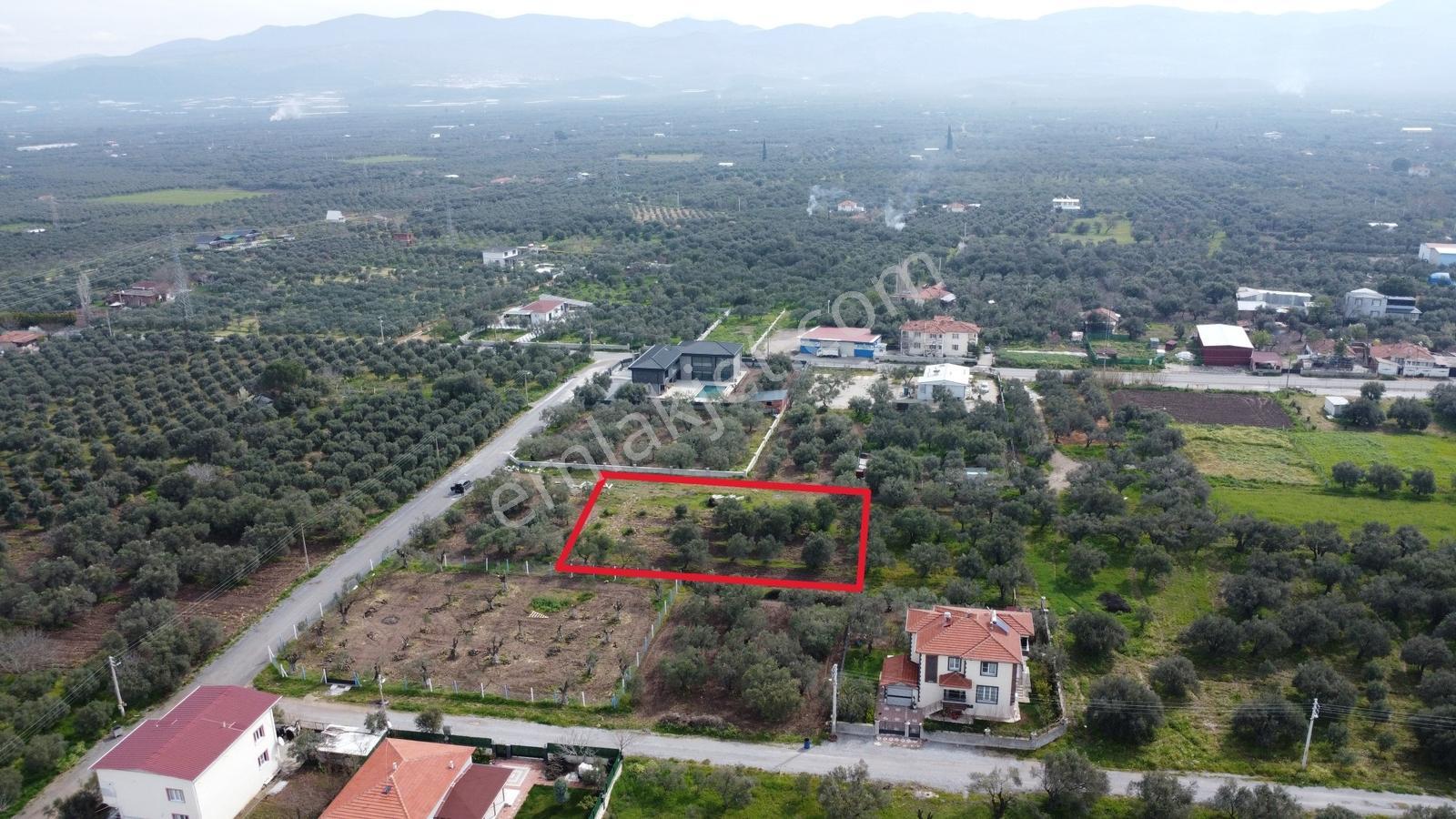 Ulucami Mah. 1270 M2 Villa İmarlı Arsa — fotoğraf 9